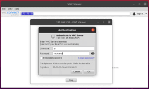 How to enable vnc server on rasberrian linex workbench with tool box underneath