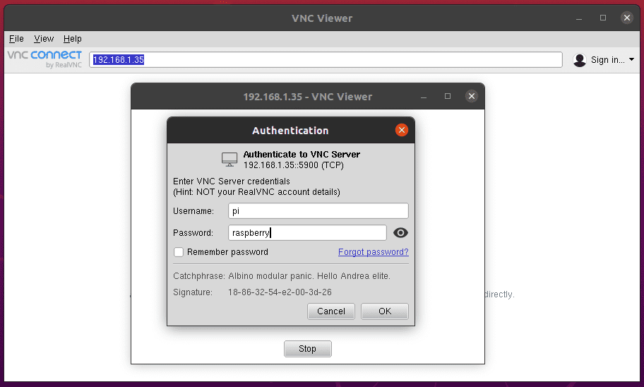 vnc viewer server address